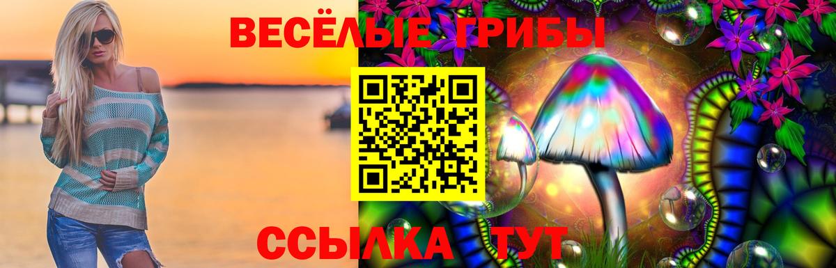 Галлюциногенные грибы Magic Shrooms  Псилоцибиновые грибы Magic Shrooms  Вход с VPN  Чернушка 